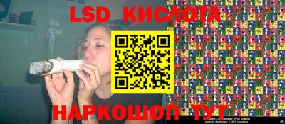 крисы Краснознаменск