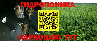 крисы Краснознаменск