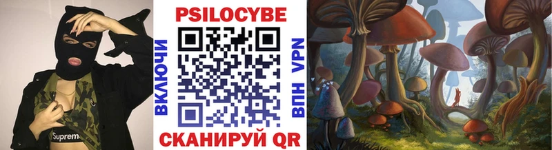 Галлюциногенные грибы Psilocybe  Дербент 