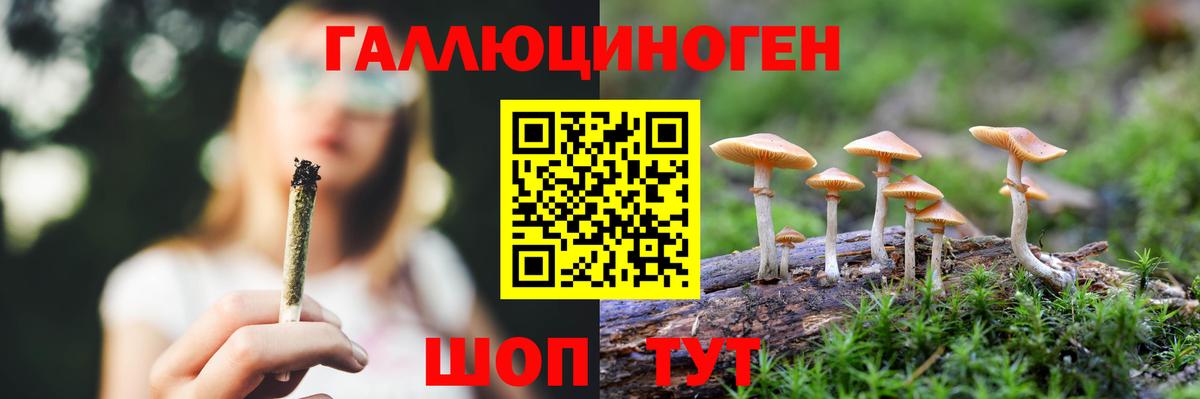 Псилоцибиновые грибы GOLDEN TEACHER  Вход с VPN  Дербент 